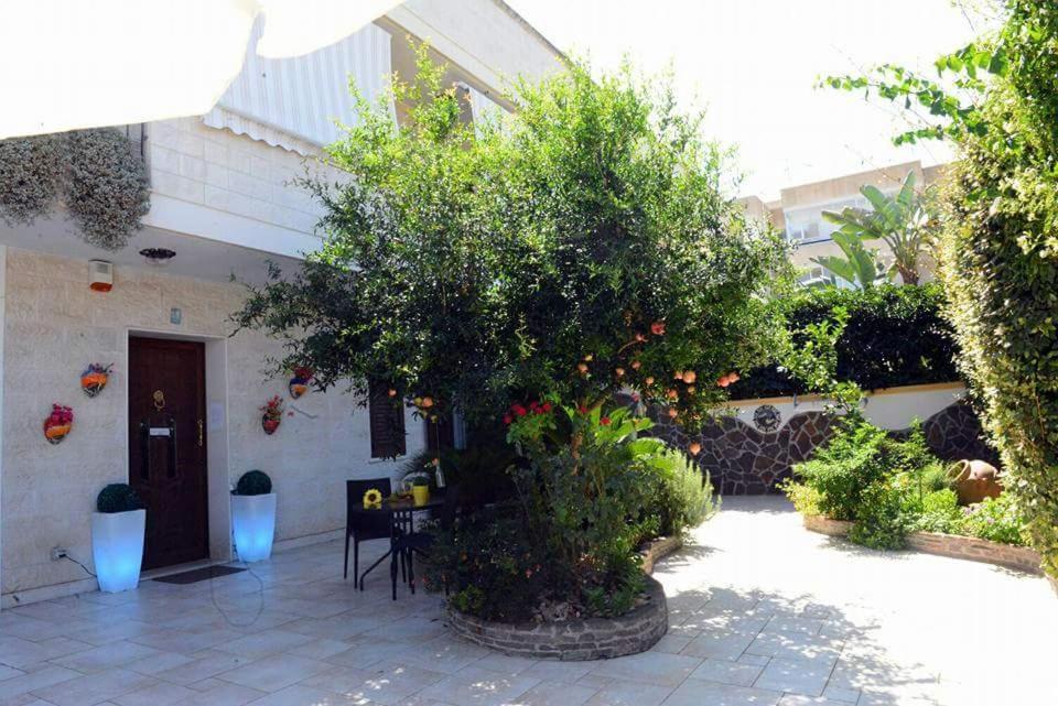 גאליפולי Profumo Di Mare B&B מראה חיצוני תמונה